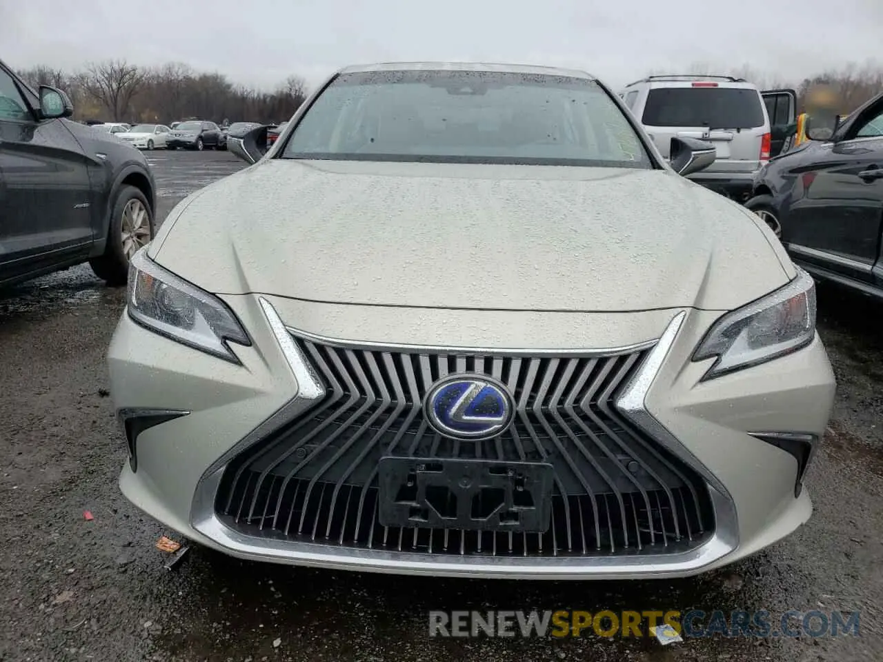 5 Photograph of a damaged car 58AB21B1XKU001218 LEXUS ES300 2019