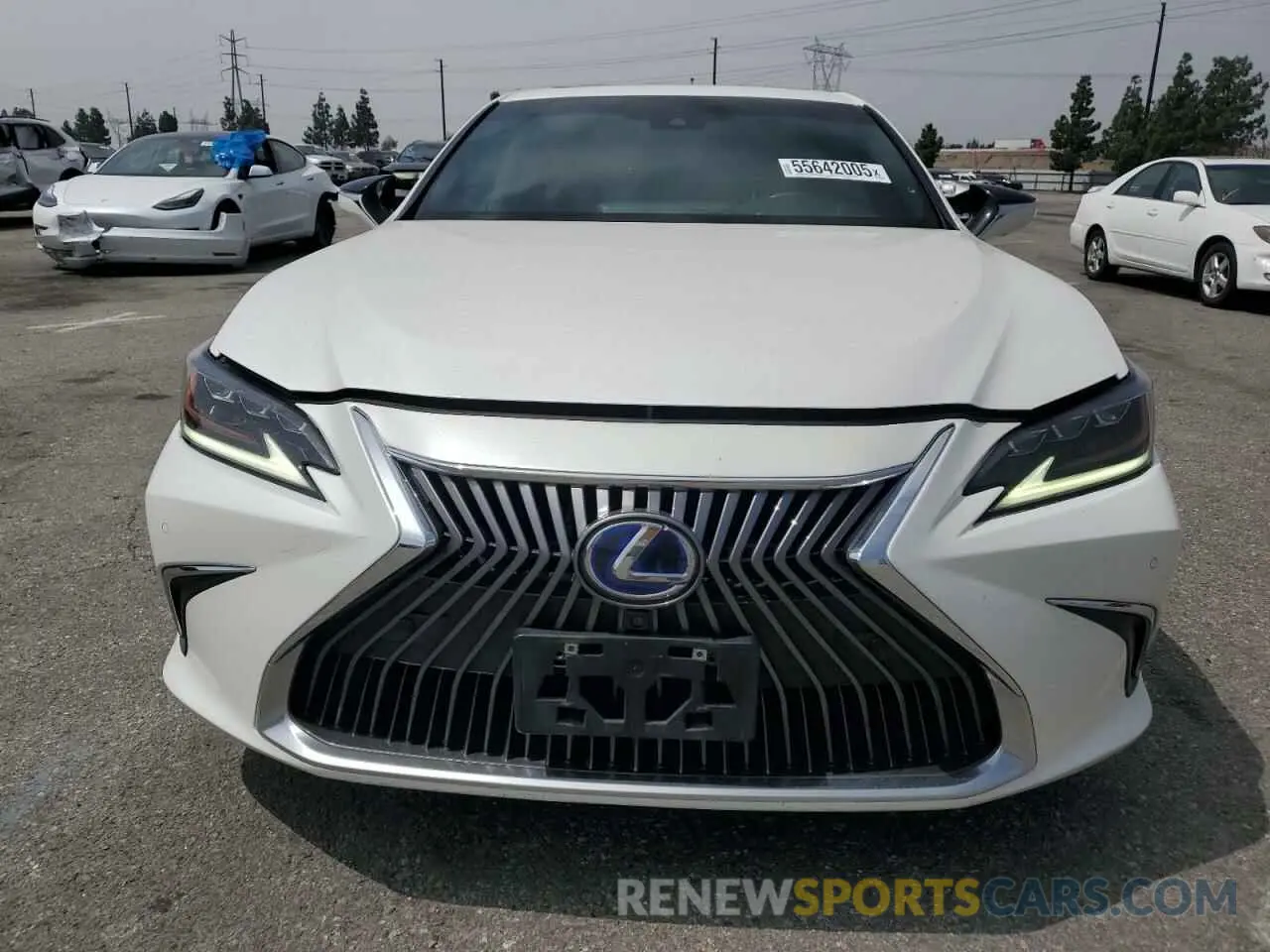 5 Photograph of a damaged car 58AEA1C18MU006497 LEXUS ES300 2021