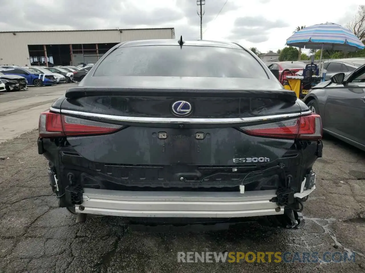 6 Фотография поврежденного автомобиля 58ADA1C13NU019560 LEXUS ES300 2022