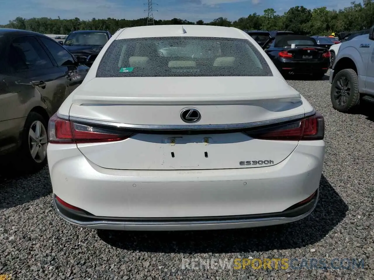 6 Photograph of a damaged car 58ADA1C18PU035224 LEXUS ES300 2023
