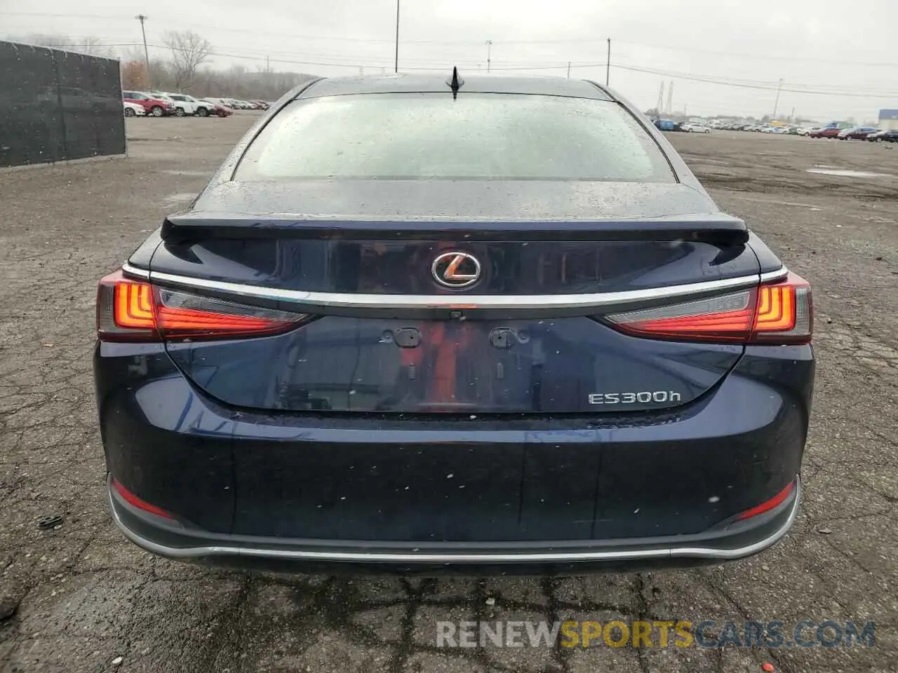 6 Photograph of a damaged car 58ACA1C17RU038100 LEXUS ES300 2024