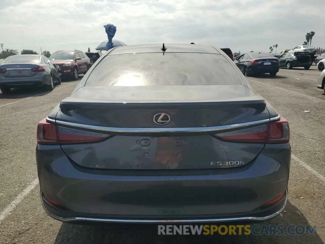 6 Photograph of a damaged car 58ADA1C10RU049279 LEXUS ES300 2024