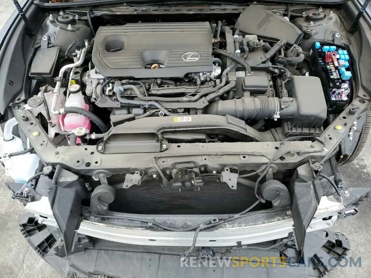 11 Фотография поврежденного автомобиля 58ADA1C16RU048069 LEXUS ES300 2024