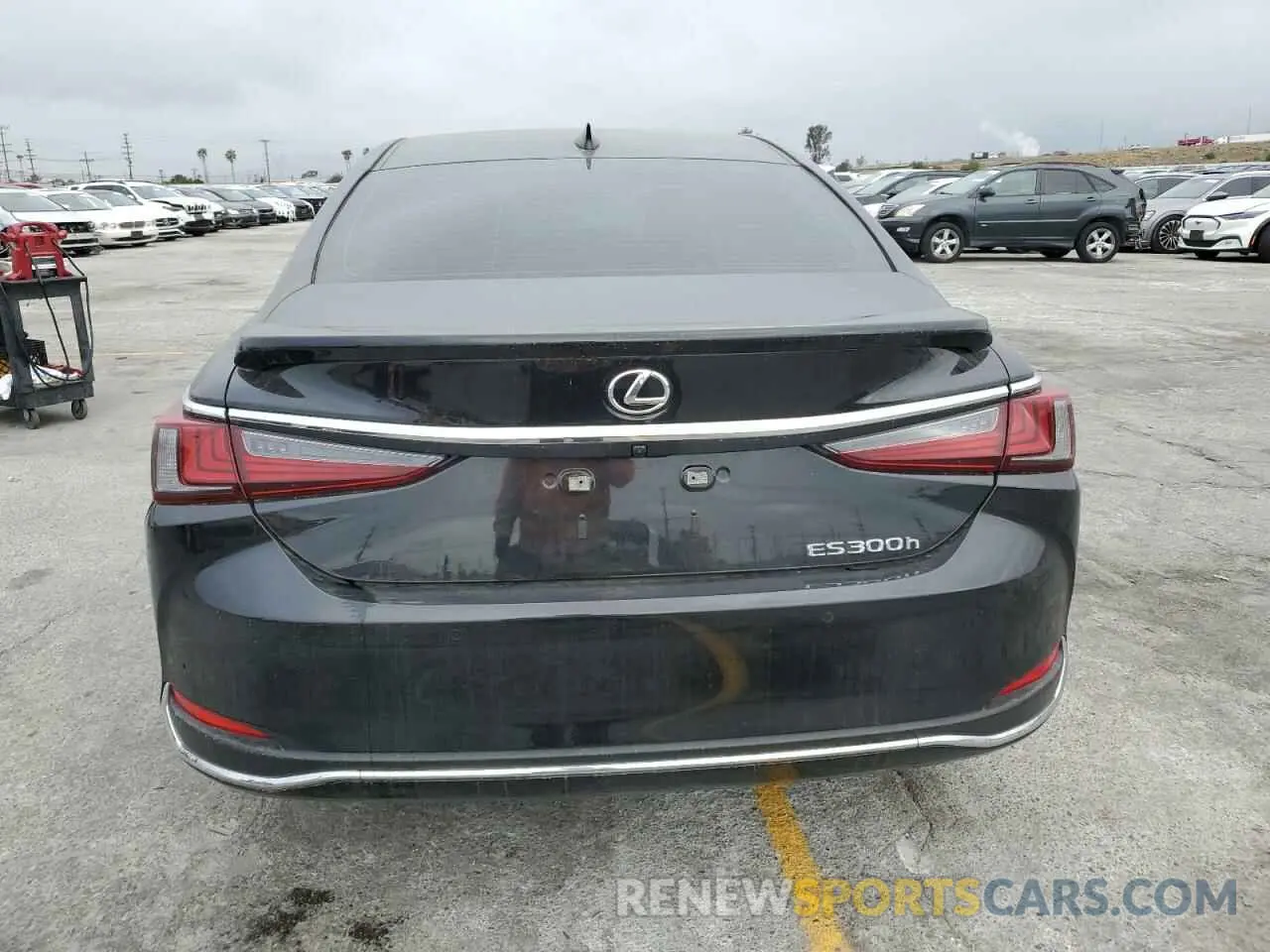 6 Фотография поврежденного автомобиля 58ADA1C16RU048069 LEXUS ES300 2024