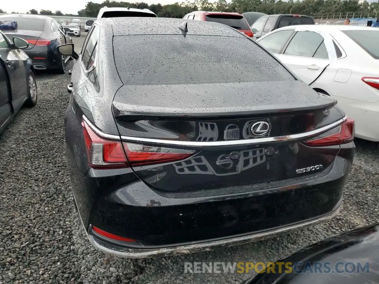 6 Photograph of a damaged car 58AEA1C10RU047262 LEXUS ES300 2024