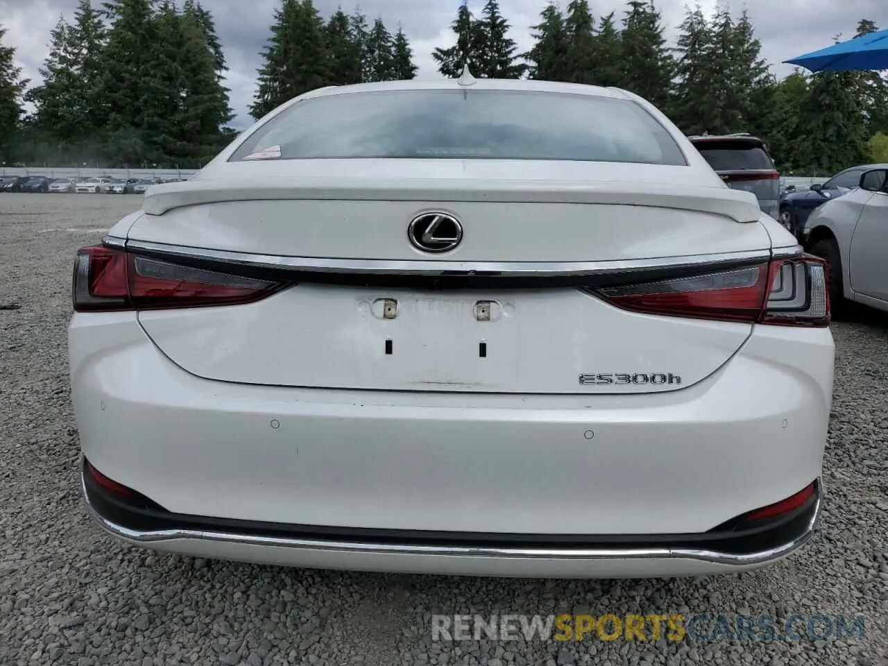 6 Фотография поврежденного автомобиля 58AEA1C19RU040407 LEXUS ES300 2024