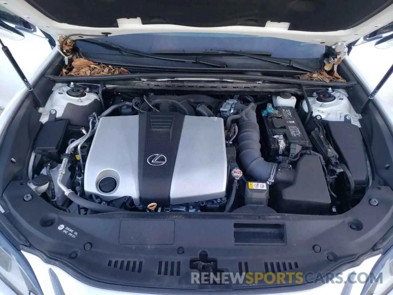 11 Photograph of a damaged car 58ABZ1B16KU043011 LEXUS ES350 2019