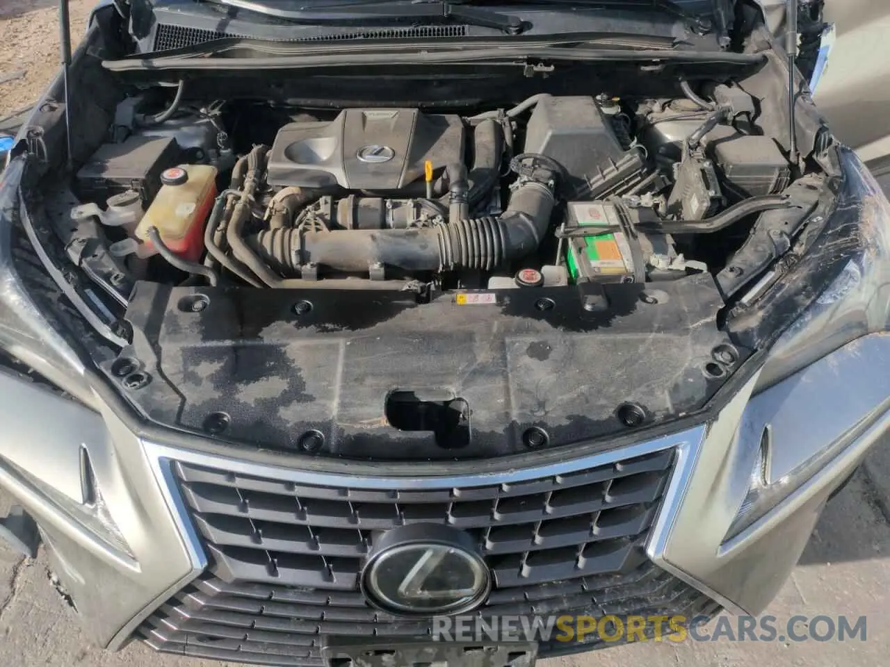 12 Photograph of a damaged car JTJBARBZ0K2208079 LEXUS NX 2019
