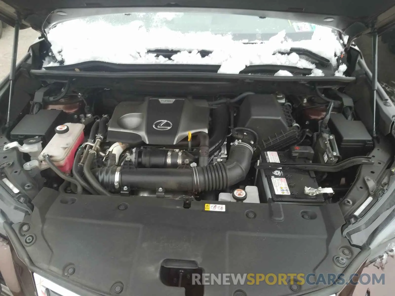 7 Photograph of a damaged car JTJBARBZ0K2208180 LEXUS NX 2019