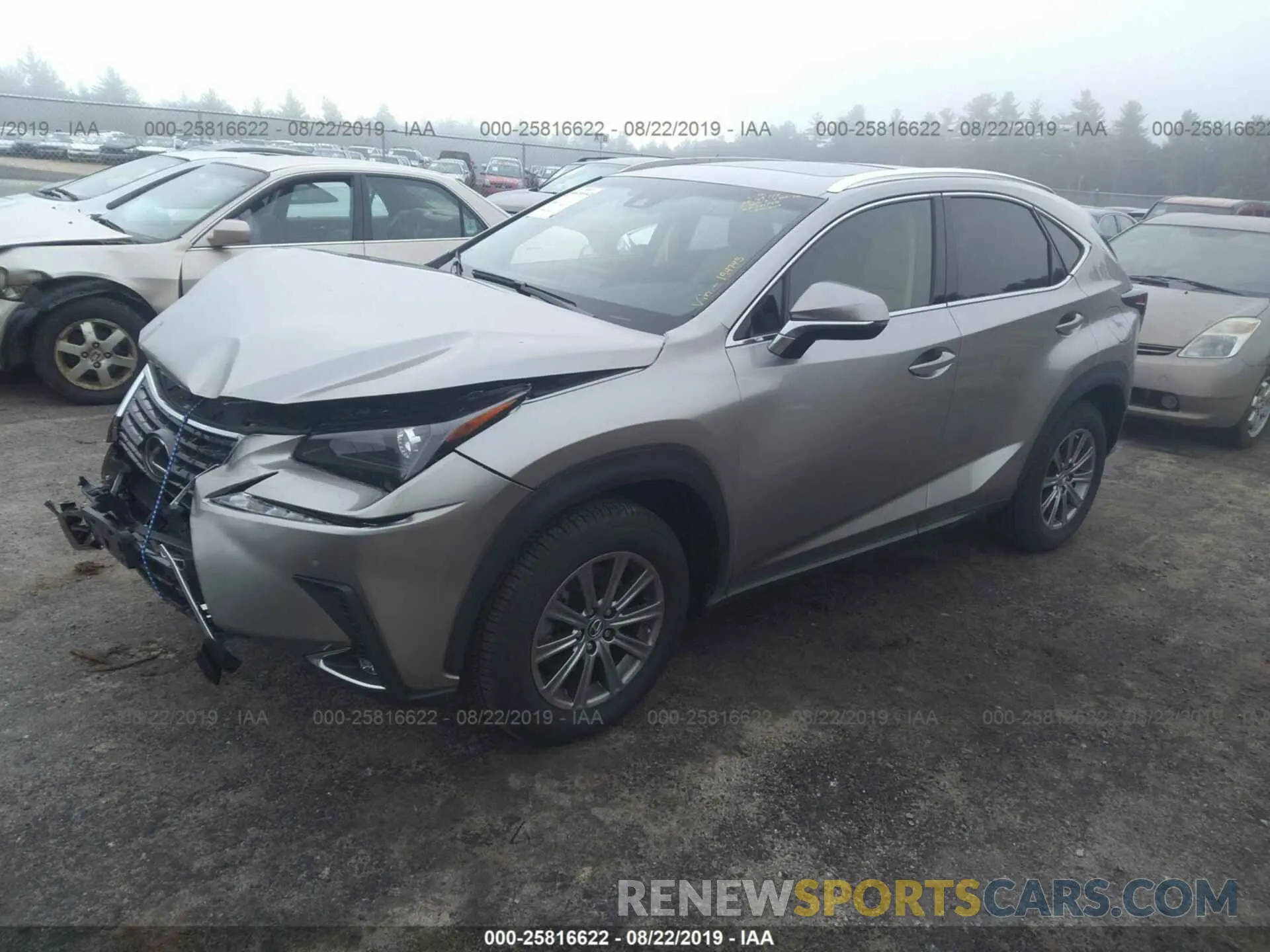 2 Photograph of a damaged car JTJBARBZ5K2194745 LEXUS NX 2019