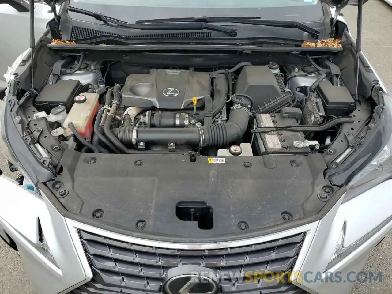 14 Photograph of a damaged car JTJBARBZ7K2198523 LEXUS NX 2019