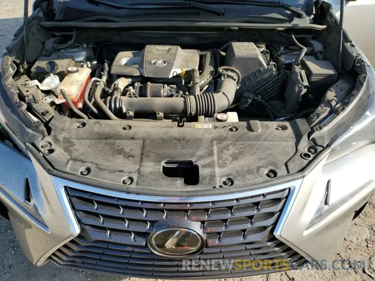 12 Photograph of a damaged car JTJBARBZ7K2207799 LEXUS NX 2019