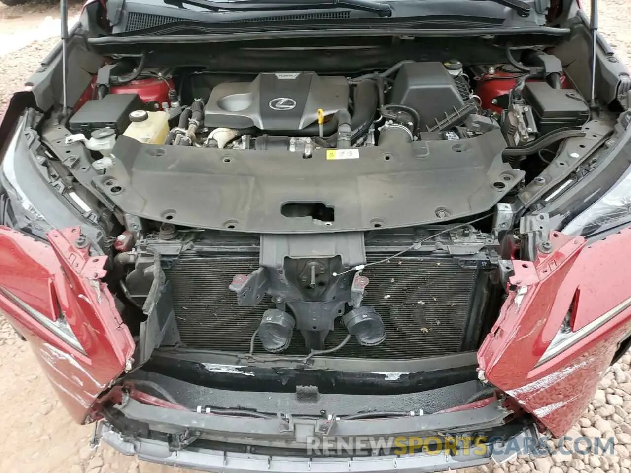 12 Фотография поврежденного автомобиля JTJYARBZ0K2126671 LEXUS NX 2019