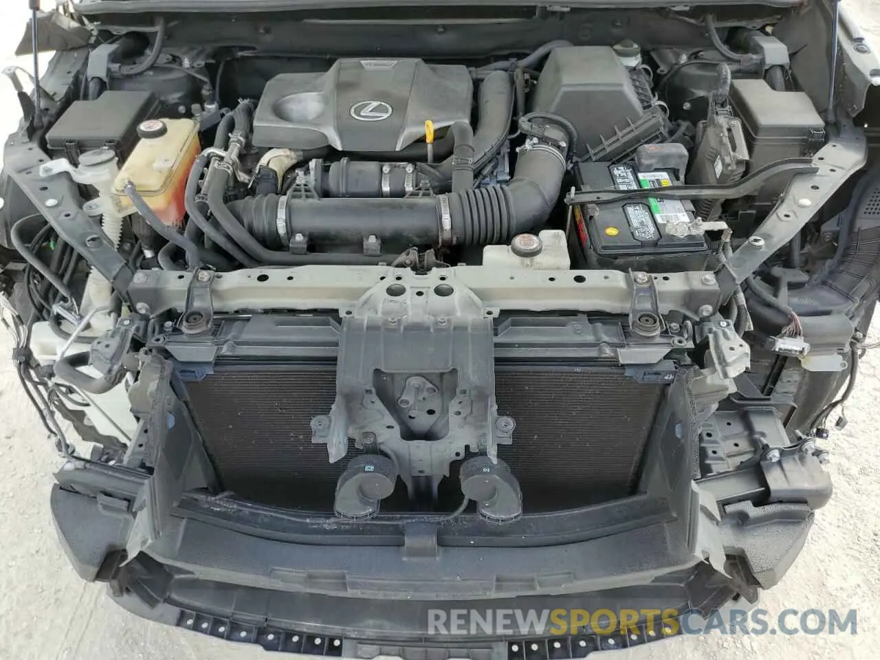 12 Фотография поврежденного автомобиля JTJYARBZ1K2124752 LEXUS NX 2019