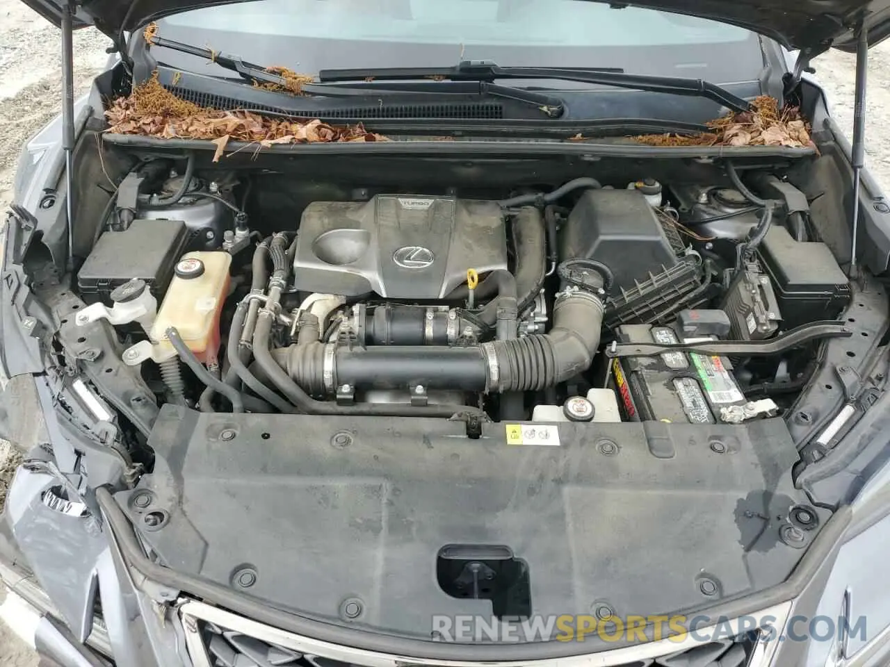 14 Photograph of a damaged car JTJYARBZ1K2125769 LEXUS NX 2019