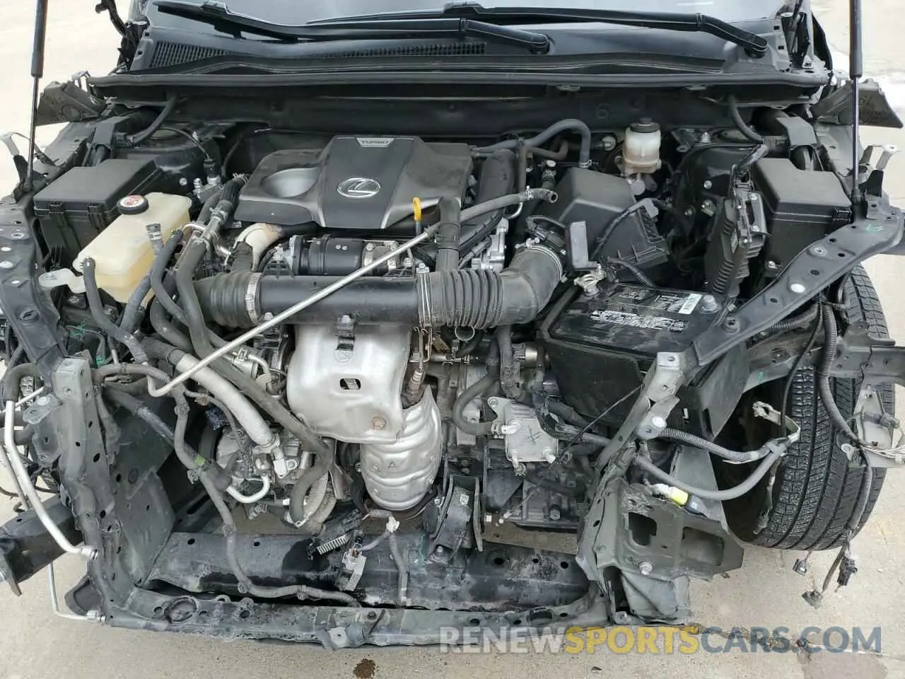 12 Фотография поврежденного автомобиля JTJDARBZ0L2159038 LEXUS NX 2020