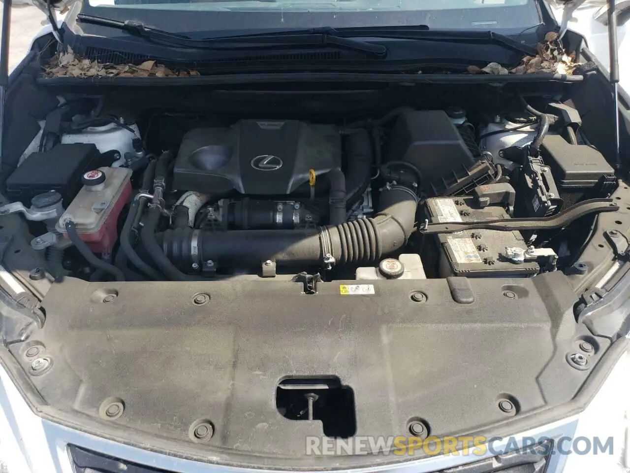 12 Фотография поврежденного автомобиля JTJDARBZ0L5018825 LEXUS NX 2020