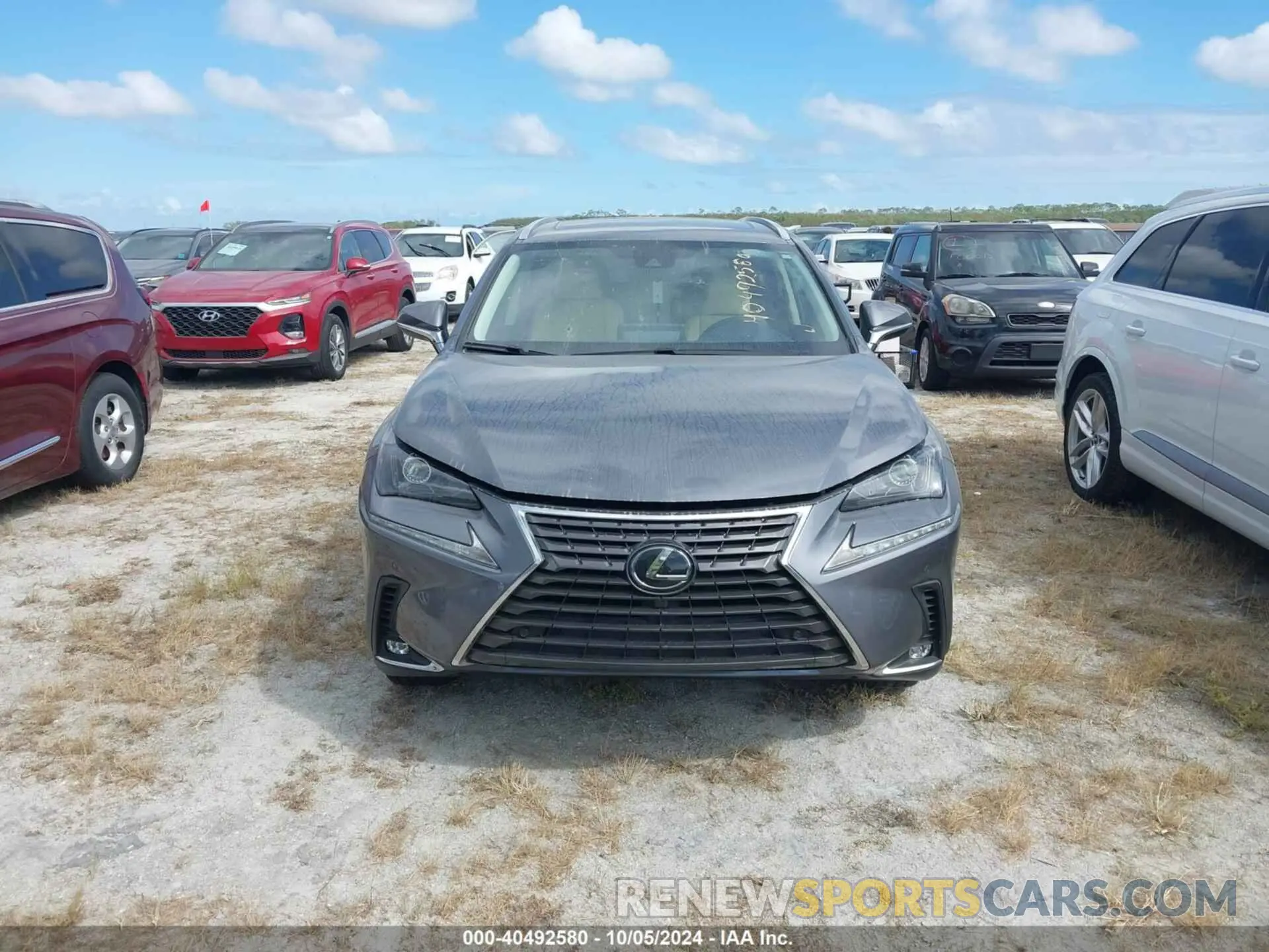 13 Фотография поврежденного автомобиля JTJDARBZ5L2173730 LEXUS NX 2020