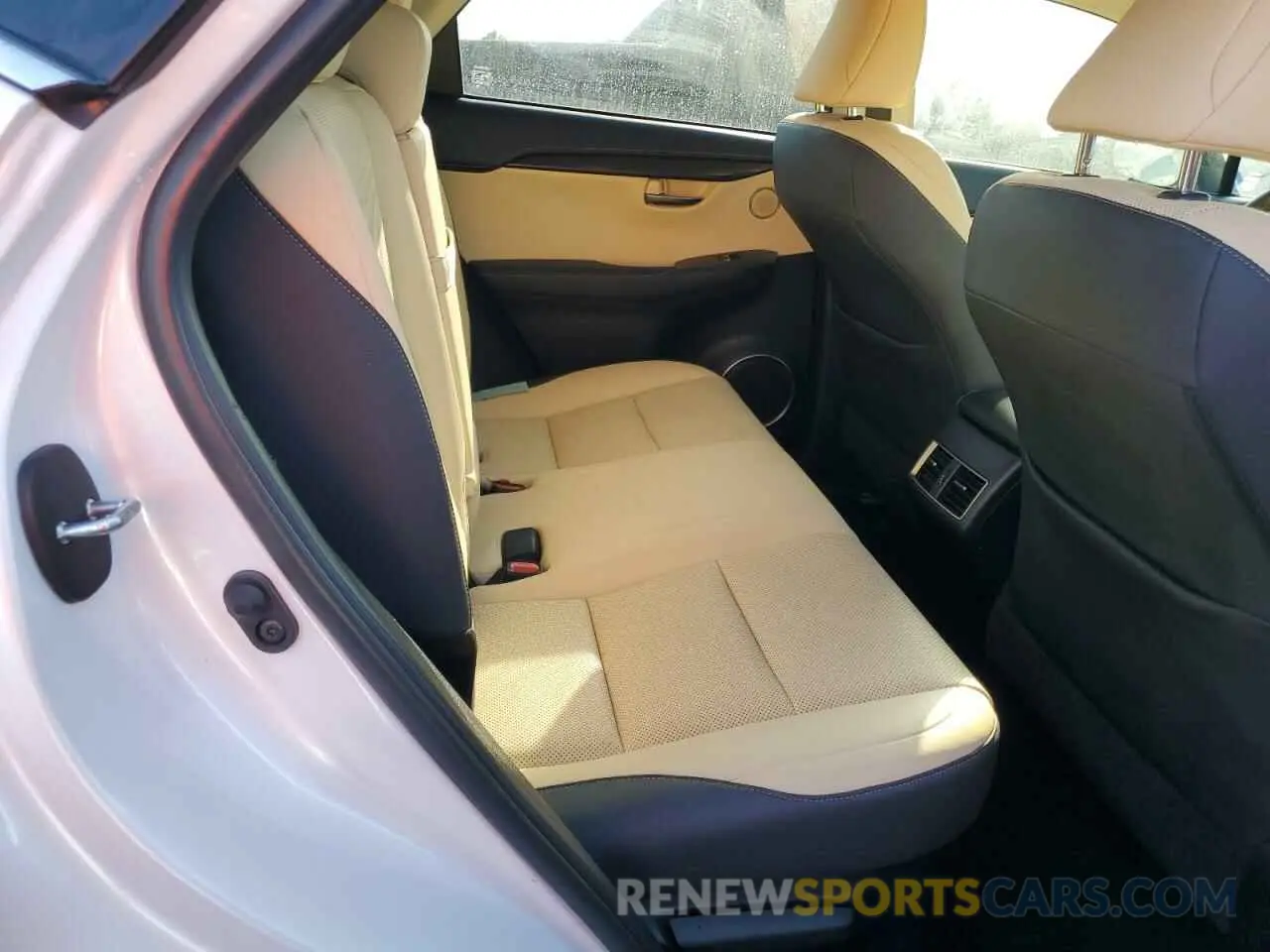 11 Photograph of a damaged car JTJDARBZ7L5005098 LEXUS NX 2020