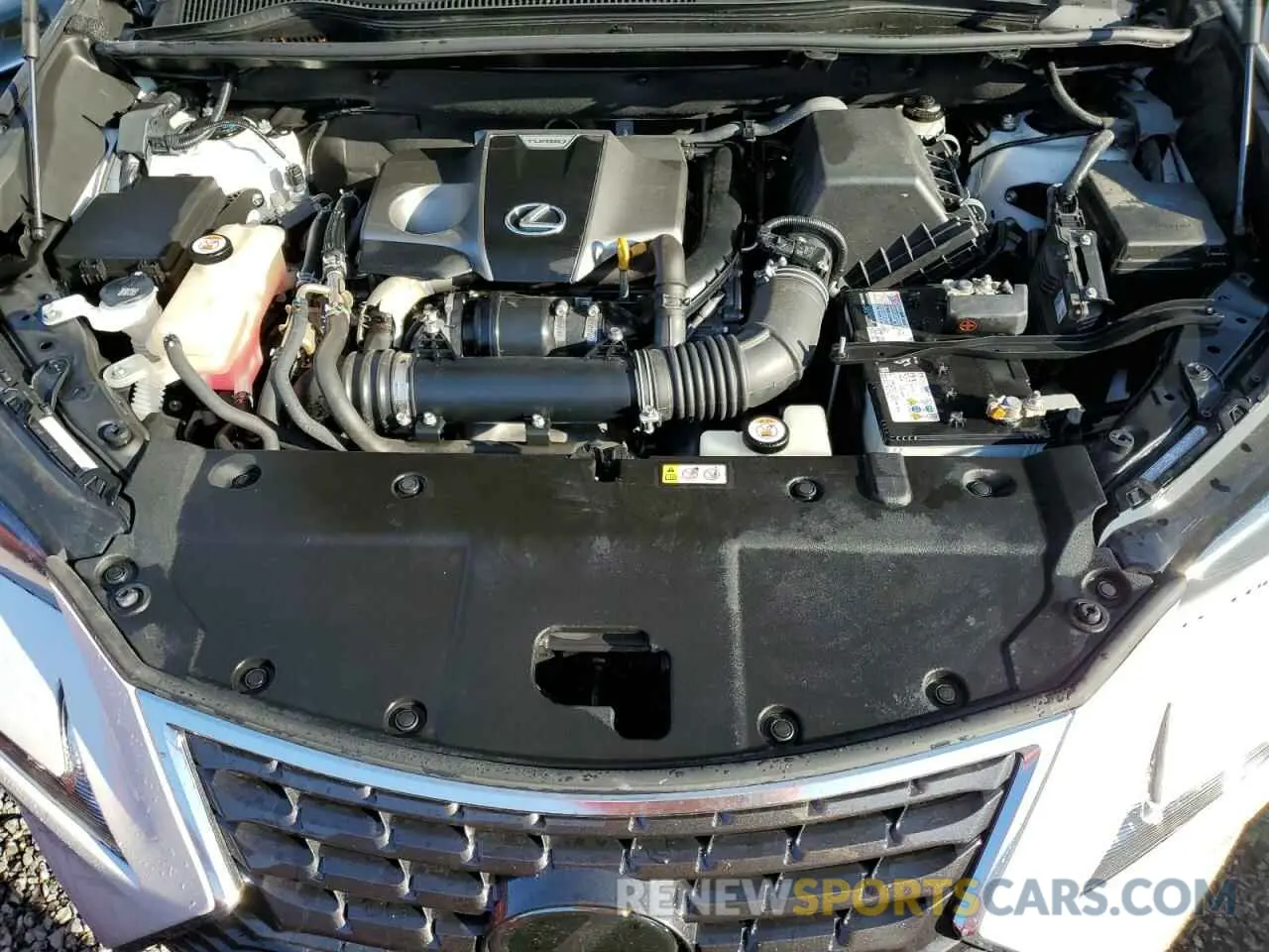 12 Photograph of a damaged car JTJDARBZ7L5005098 LEXUS NX 2020