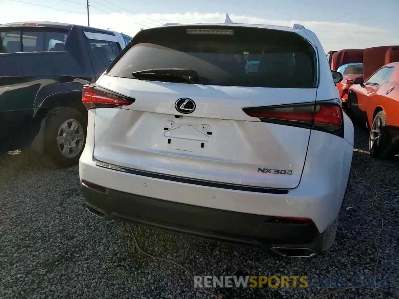 6 Photograph of a damaged car JTJDARBZ7L5005098 LEXUS NX 2020