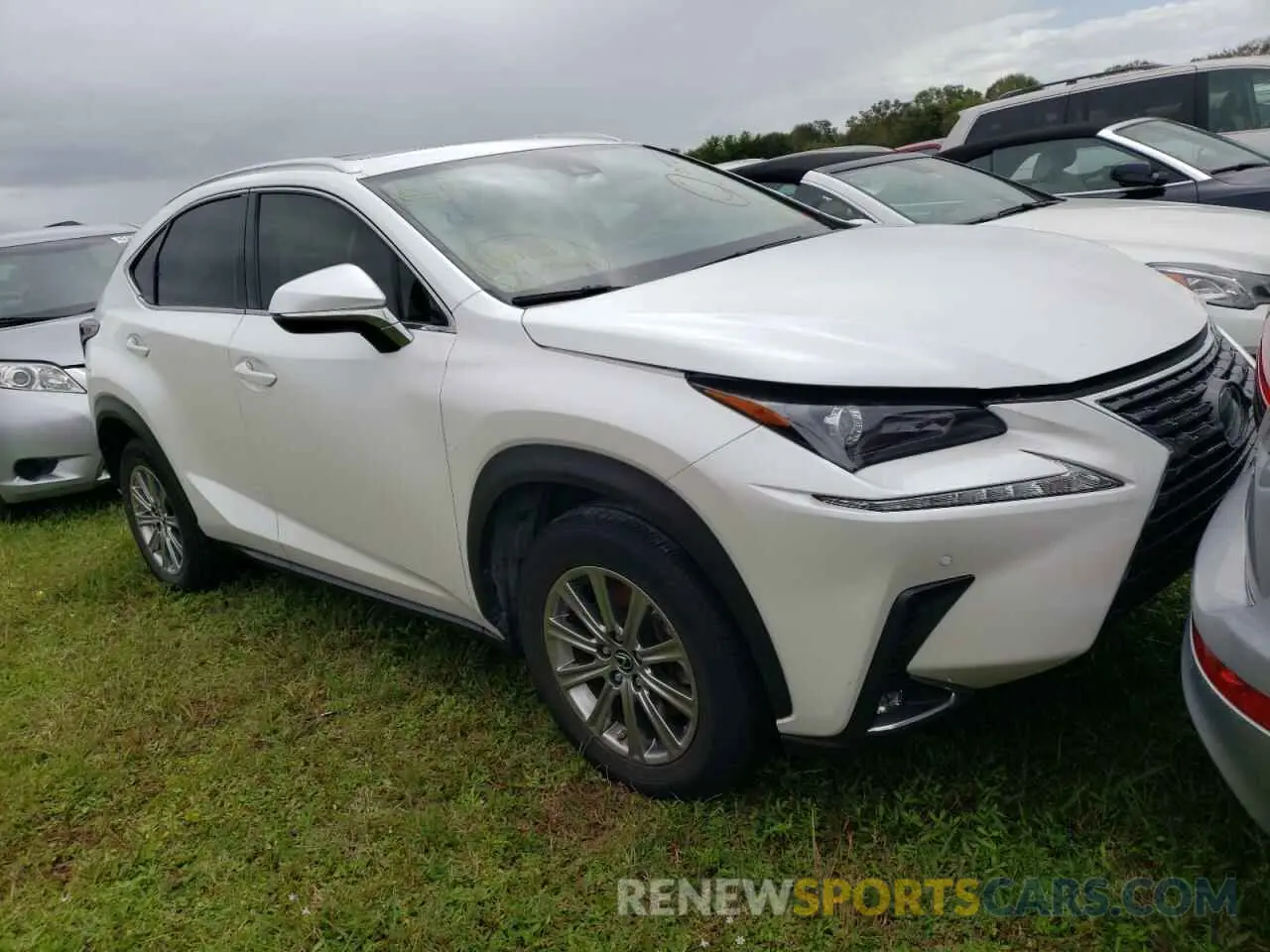 1 Фотография поврежденного автомобиля JTJDARBZ8L5009256 LEXUS NX 2020