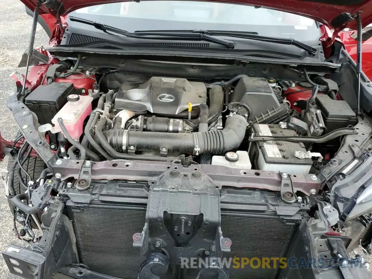 11 Фотография поврежденного автомобиля JTJDARDZ1L5015770 LEXUS NX 2020