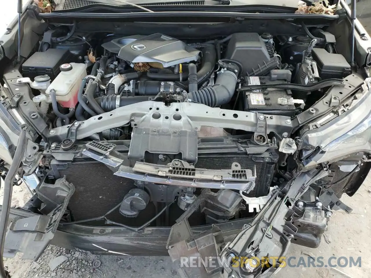 12 Photograph of a damaged car JTJDARDZ4L2232120 LEXUS NX 2020