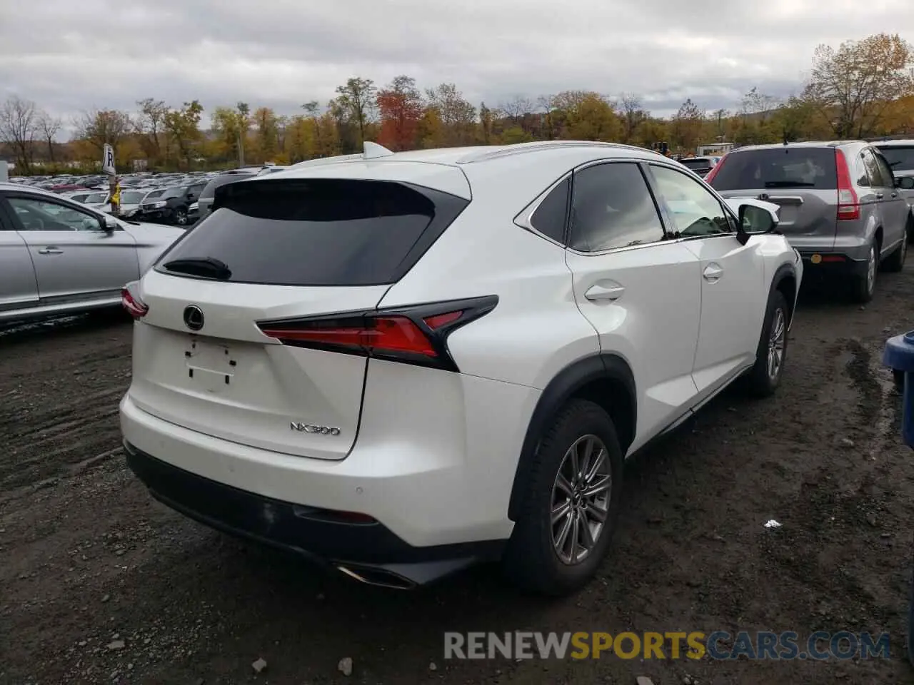 4 Photograph of a damaged car JTJDARDZXL2235961 LEXUS NX 2020