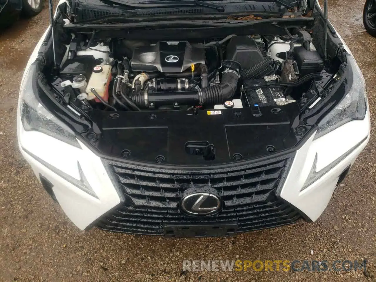 11 Photograph of a damaged car JTJGARBZ4L2169407 LEXUS NX 2020