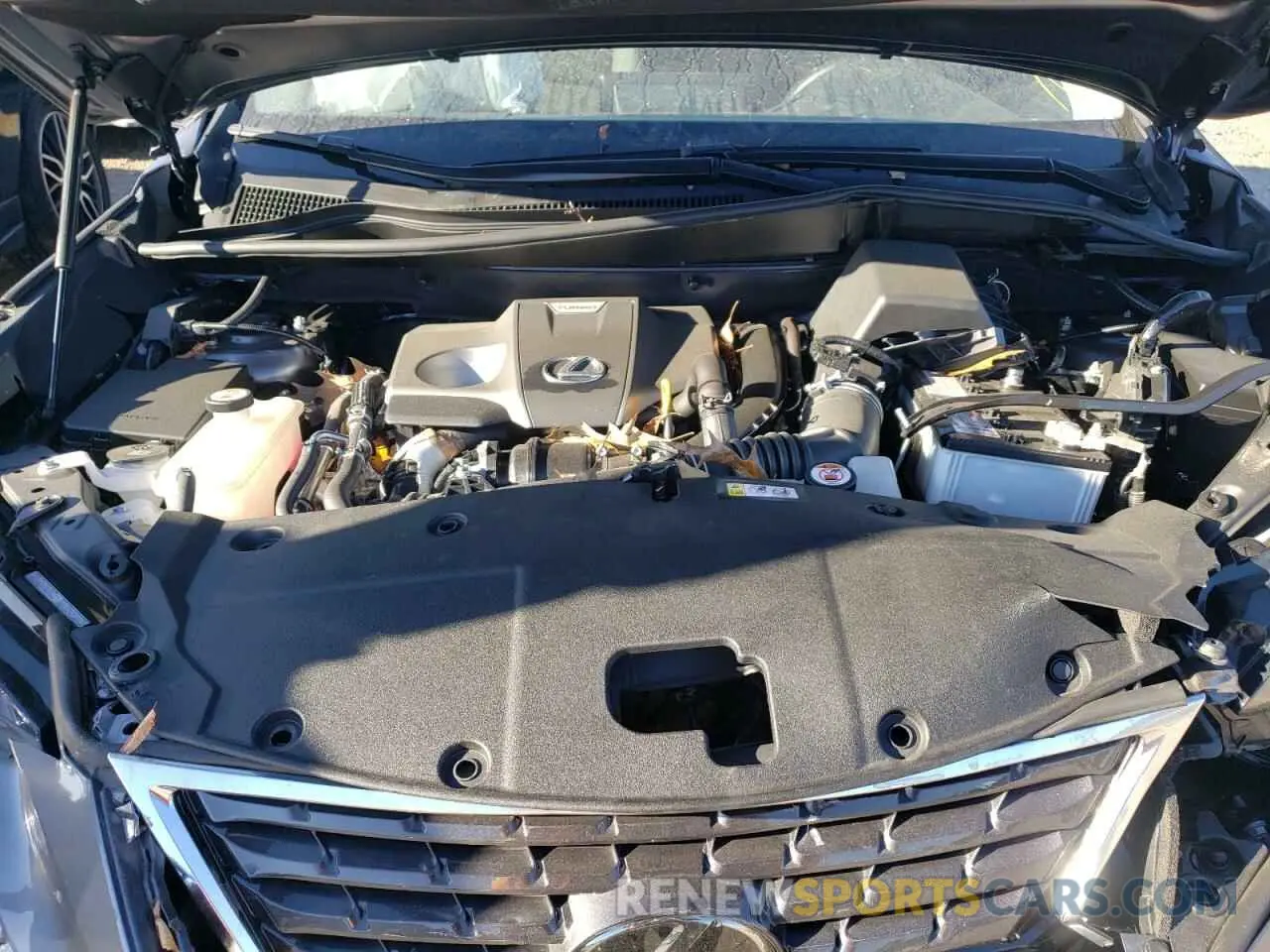 7 Photograph of a damaged car JTJGARBZ8L5015846 LEXUS NX 2020
