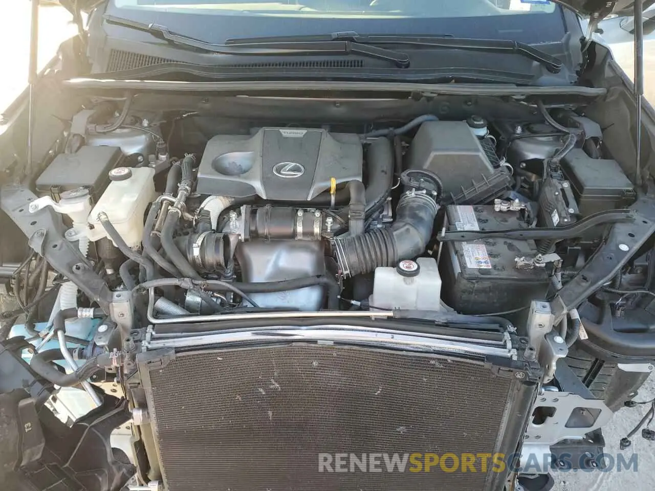12 Фотография поврежденного автомобиля JTJGARBZXL2177429 LEXUS NX 2020