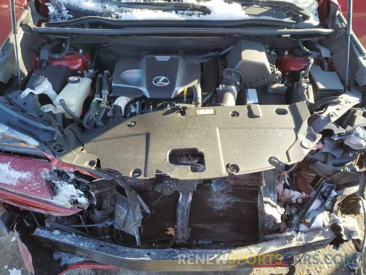 12 Фотография поврежденного автомобиля JTJGARDZ5L5007037 LEXUS NX 2020