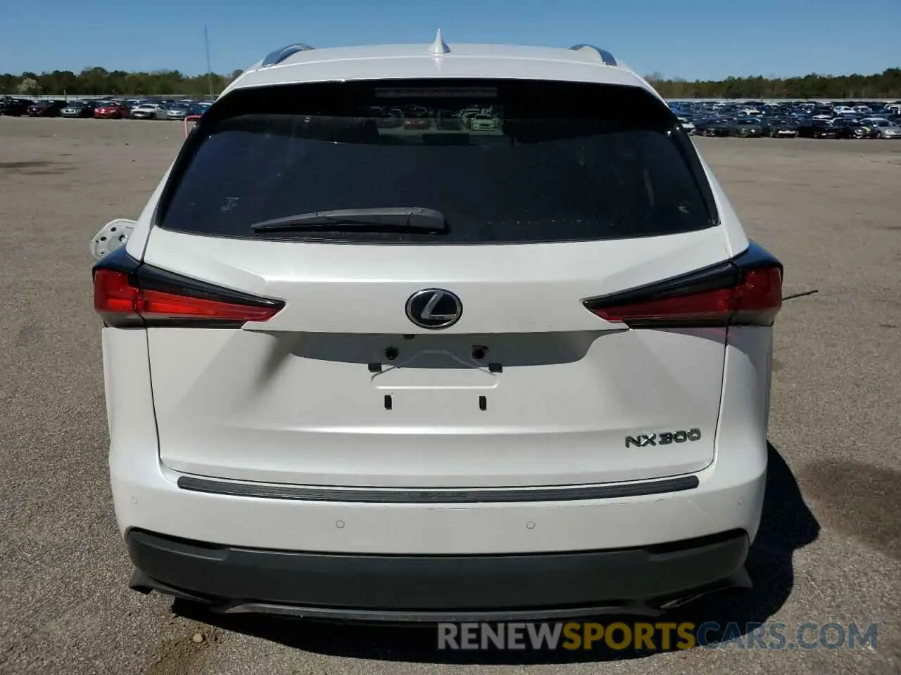 6 Photograph of a damaged car JTJGARDZ6L5012635 LEXUS NX 2020