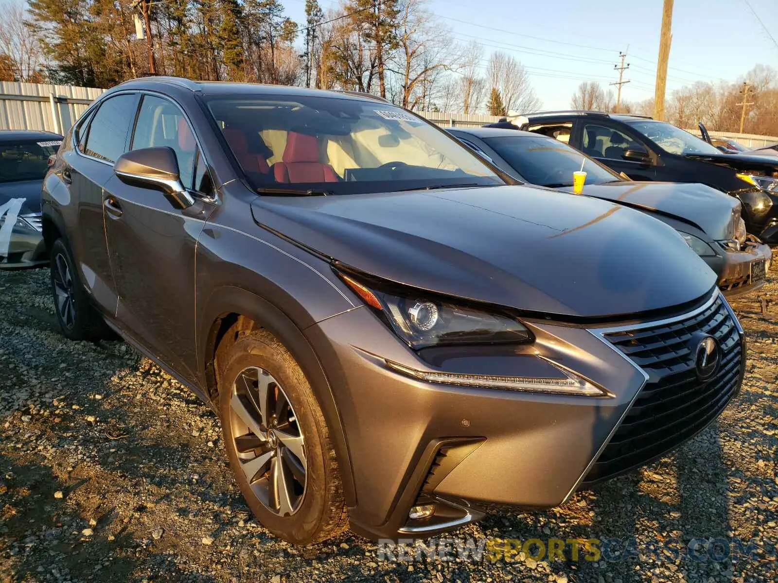 1 Photograph of a damaged car JTJGJRDZ6L2126183 LEXUS NX 2020