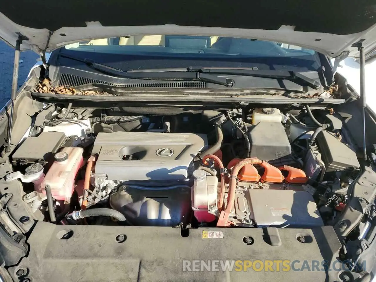 13 Photograph of a damaged car JTJGJRDZXL5003324 LEXUS NX 2020