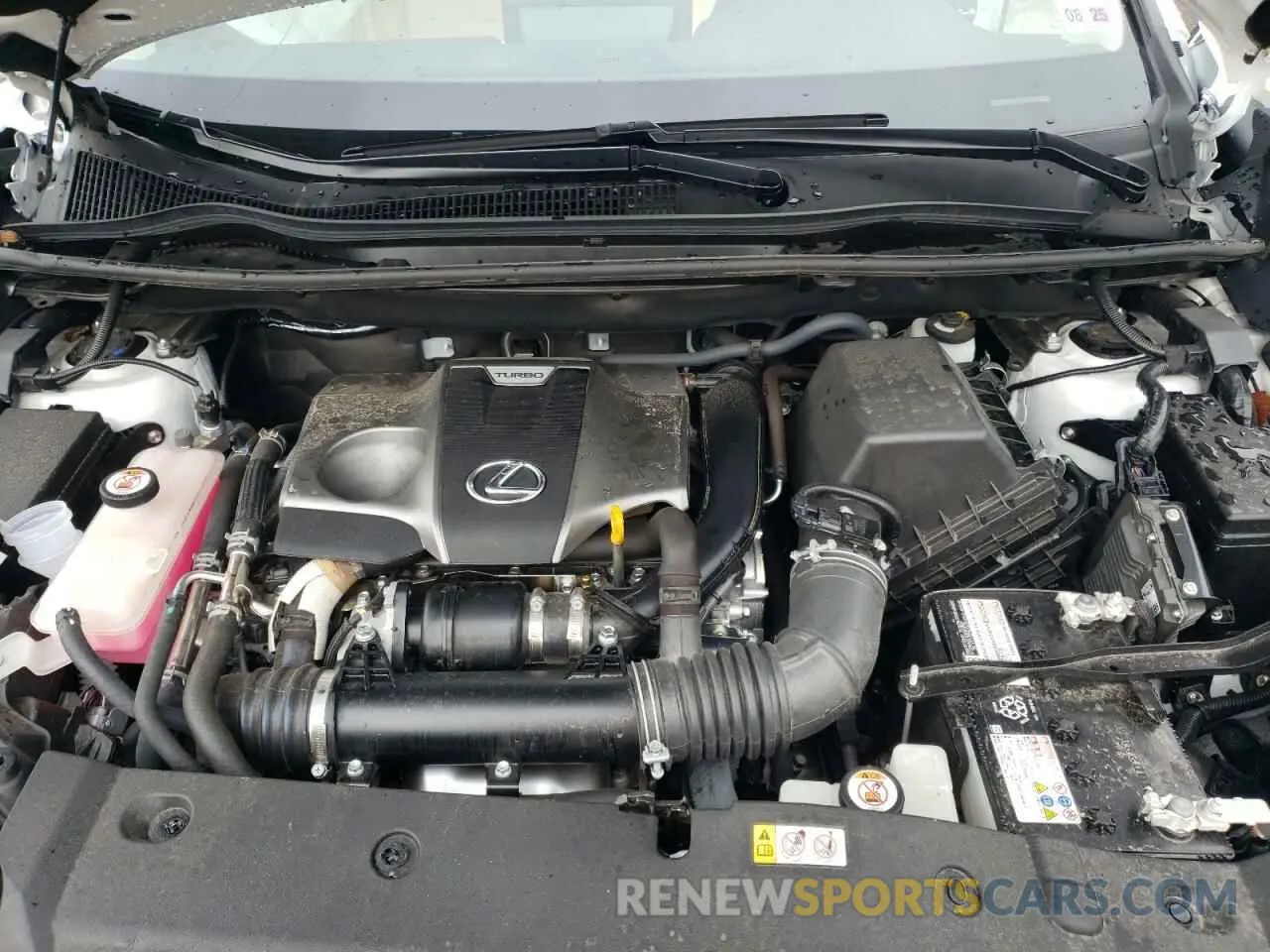 12 Photograph of a damaged car JTJHARDZXL5015963 LEXUS NX 2020