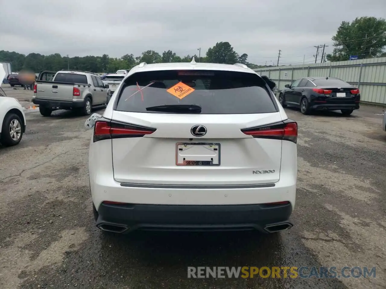 6 Photograph of a damaged car JTJHARDZXL5015963 LEXUS NX 2020
