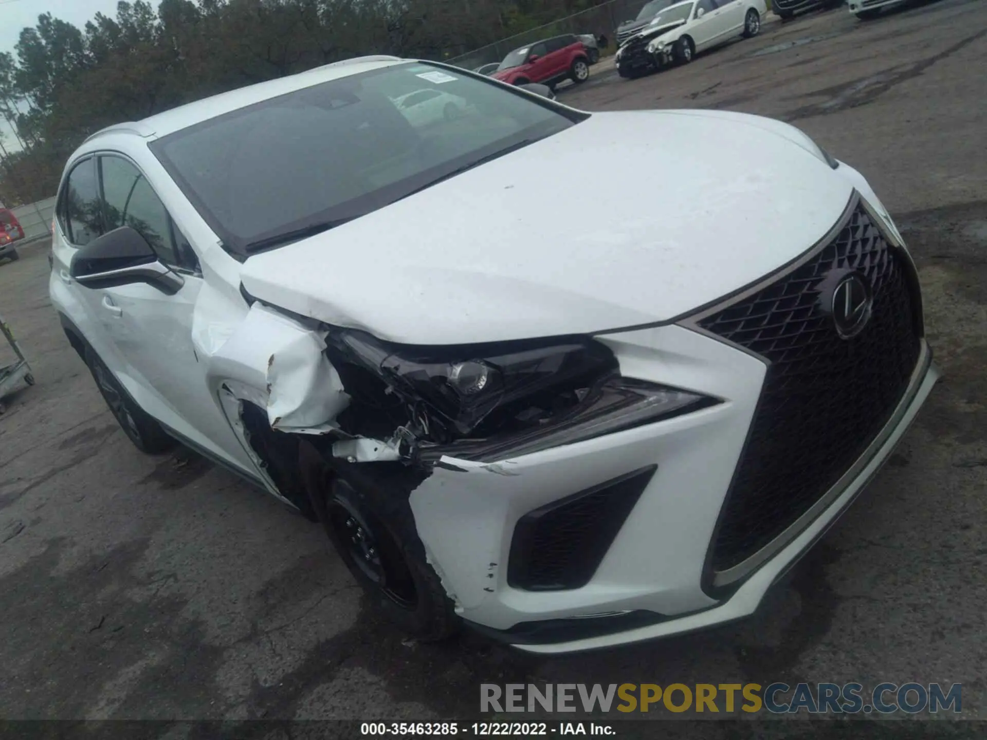 6 Photograph of a damaged car JTJJARBZ1L5015466 LEXUS NX 2020
