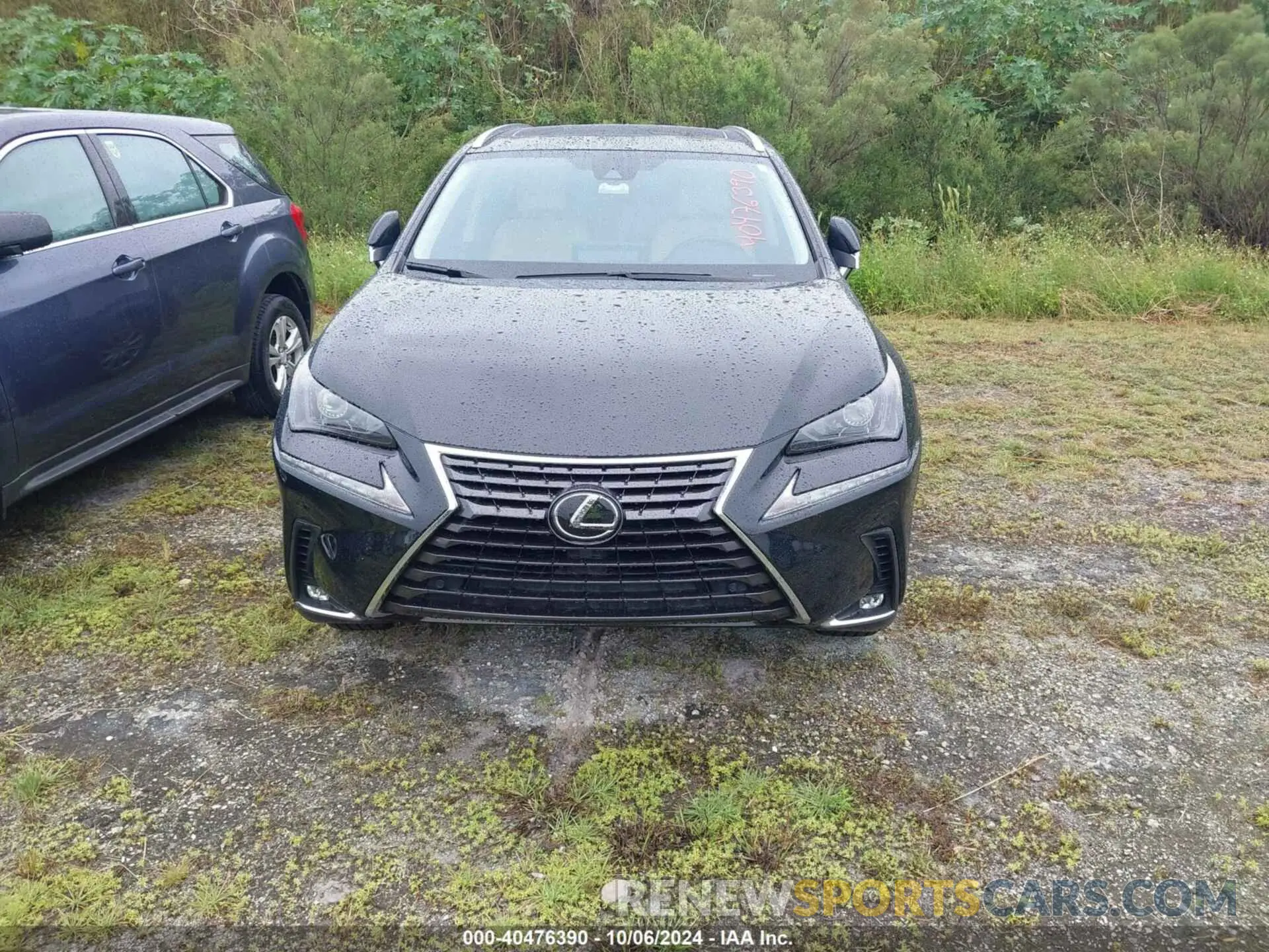 12 Photograph of a damaged car JTJDARBZ5M2181540 LEXUS NX 2021