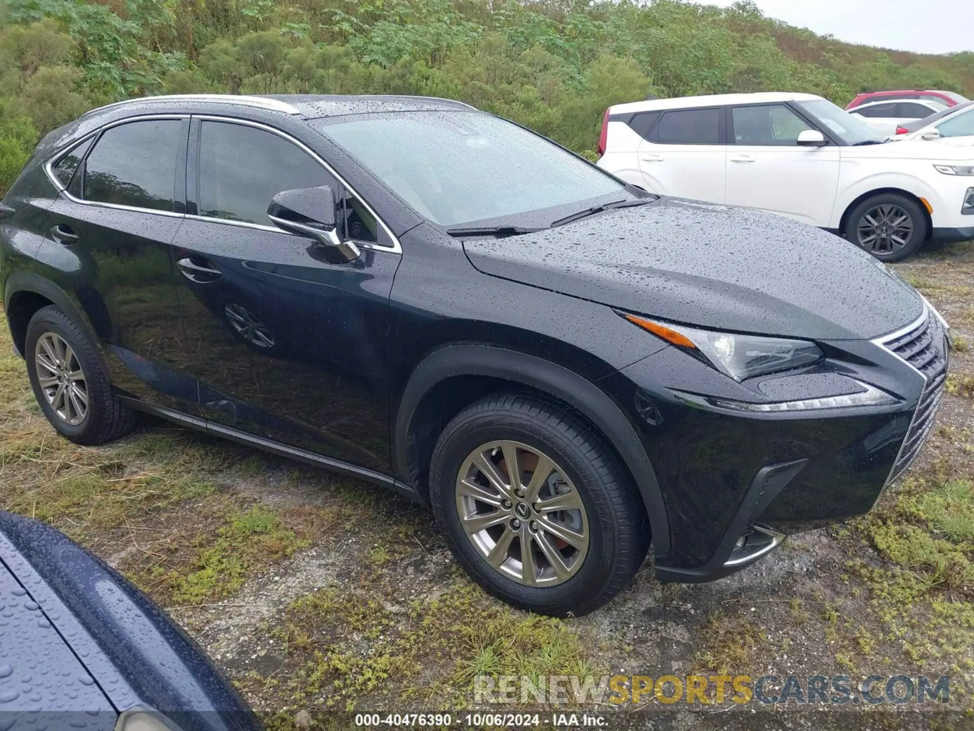 13 Photograph of a damaged car JTJDARBZ5M2181540 LEXUS NX 2021