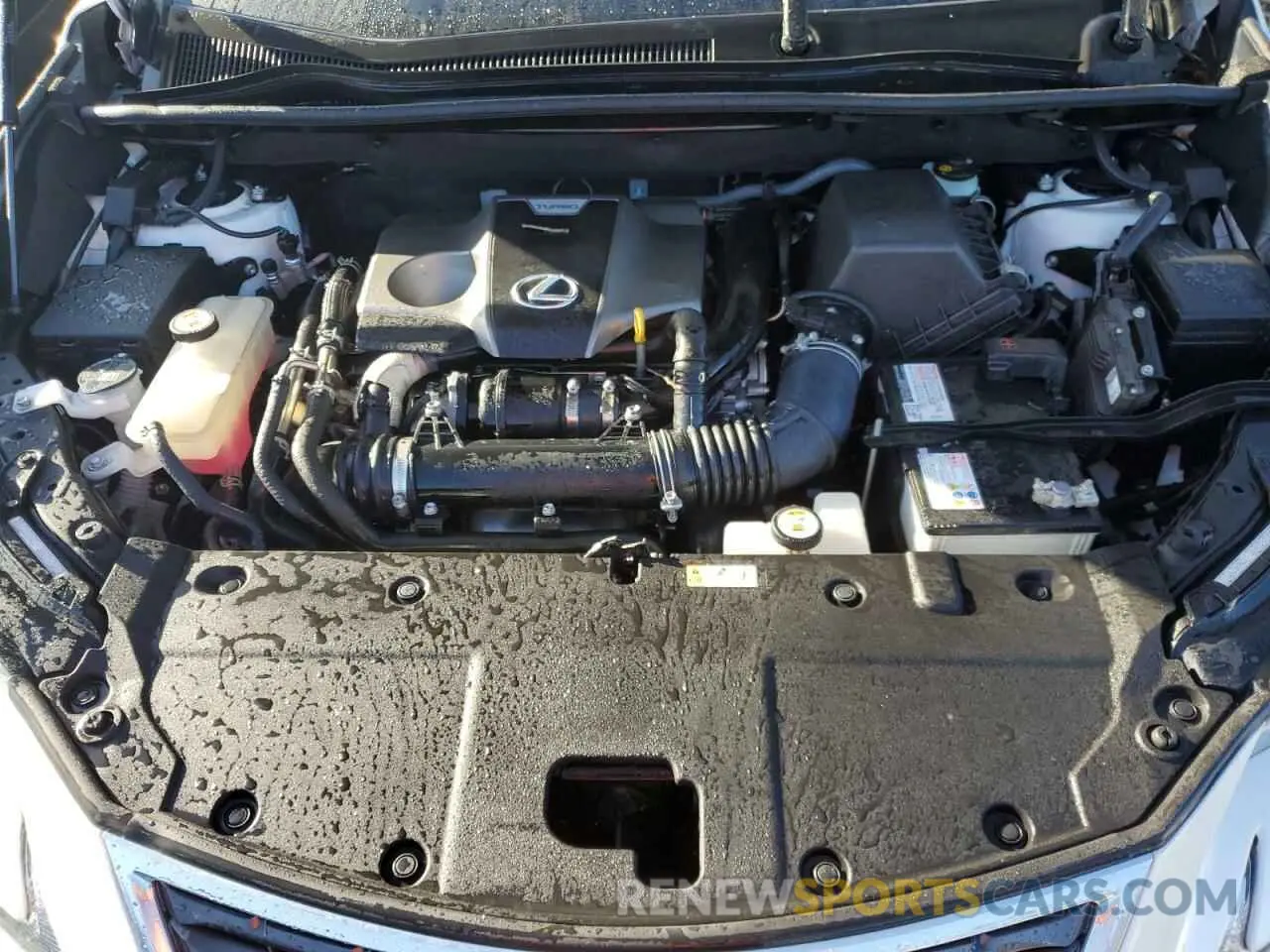 12 Фотография поврежденного автомобиля JTJDARBZ5M5034892 LEXUS NX 2021