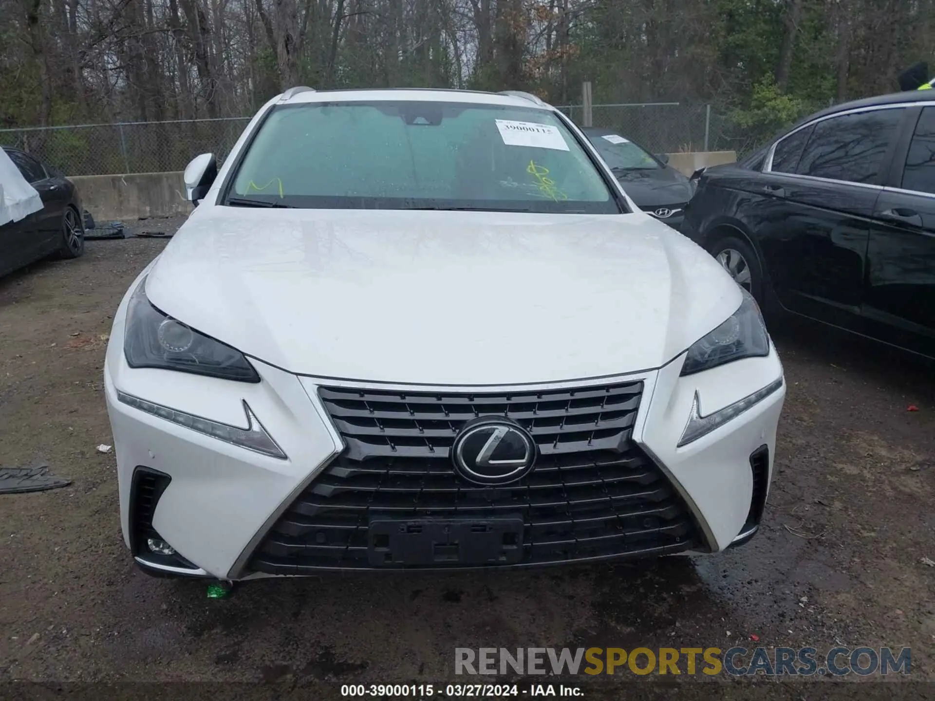12 Фотография поврежденного автомобиля JTJDARBZ7M5025935 LEXUS NX 2021