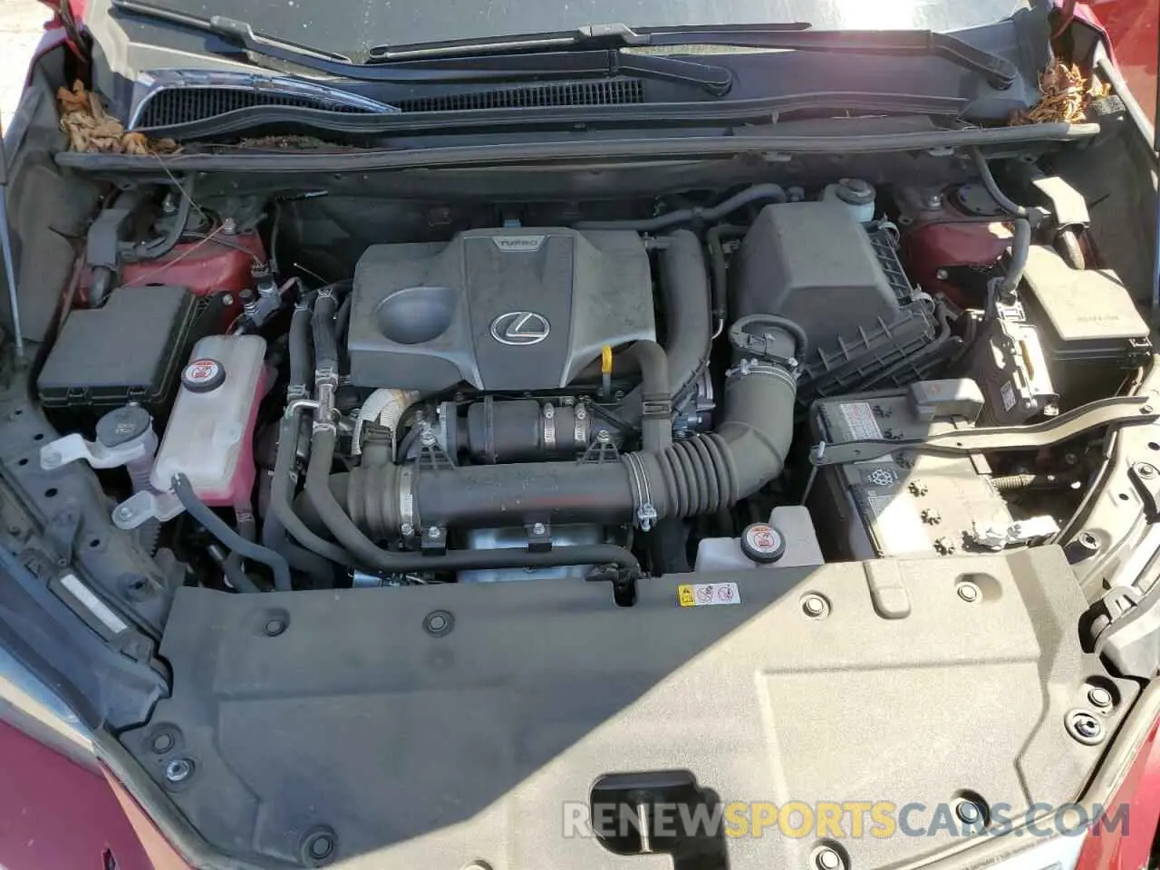7 Фотография поврежденного автомобиля JTJDARBZ8M5027502 LEXUS NX 2021