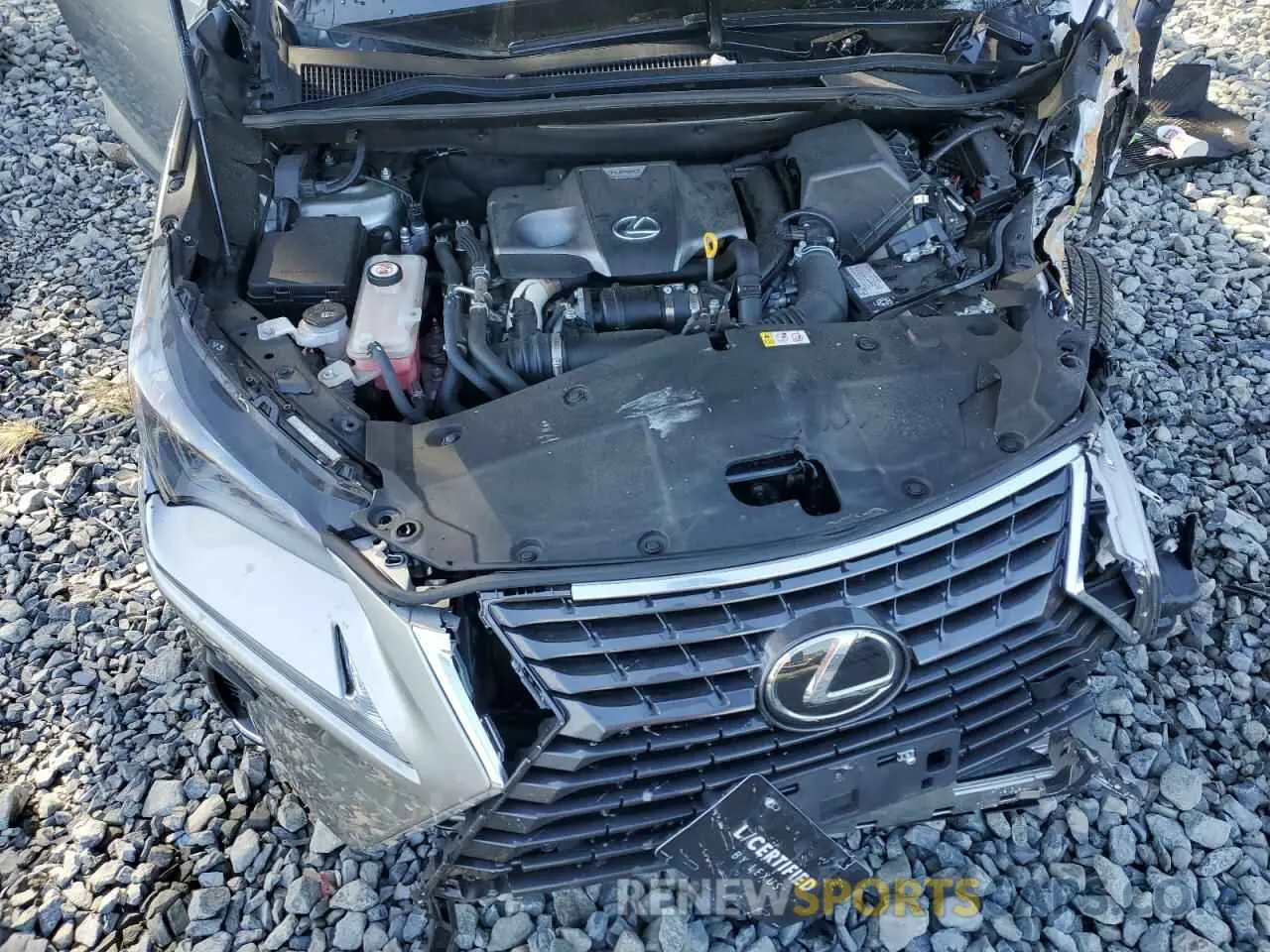 13 Фотография поврежденного автомобиля JTJDARDZ2M2243568 LEXUS NX 2021