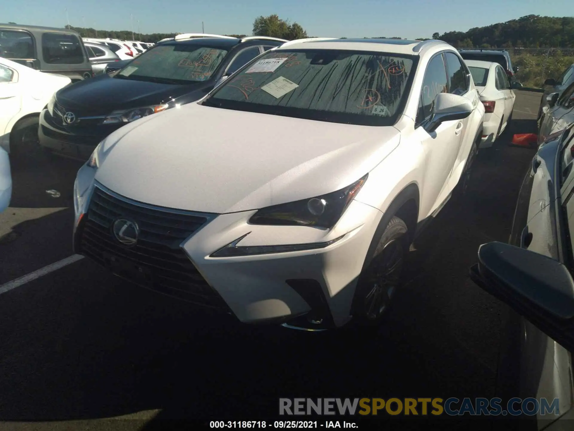 2 Photograph of a damaged car JTJDARDZ2M5025757 LEXUS NX 2021