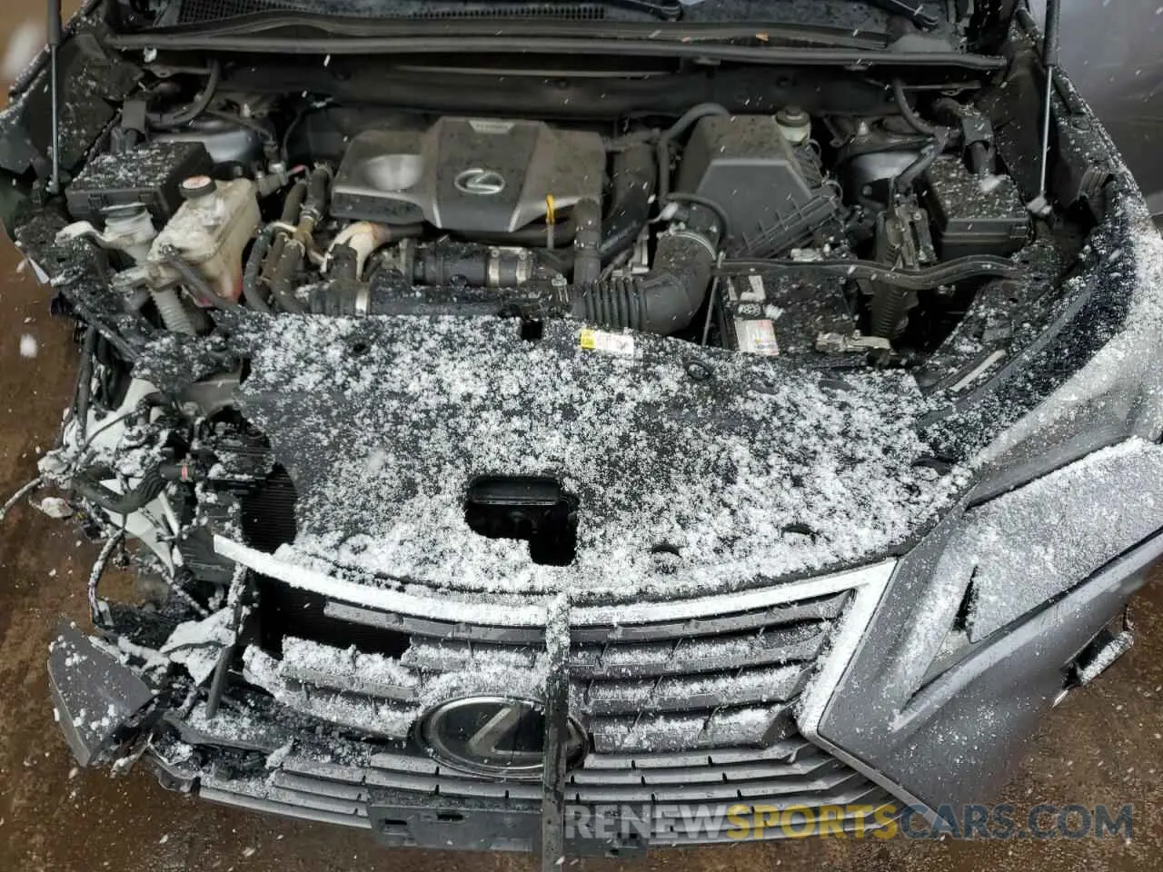 12 Фотография поврежденного автомобиля JTJDARDZ7M2243324 LEXUS NX 2021