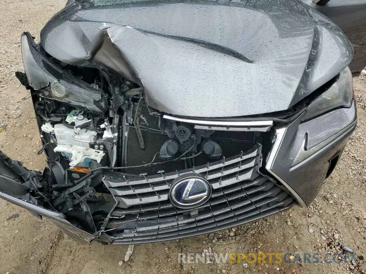 12 Photograph of a damaged car JTJDJRDZ2M2147276 LEXUS NX 2021