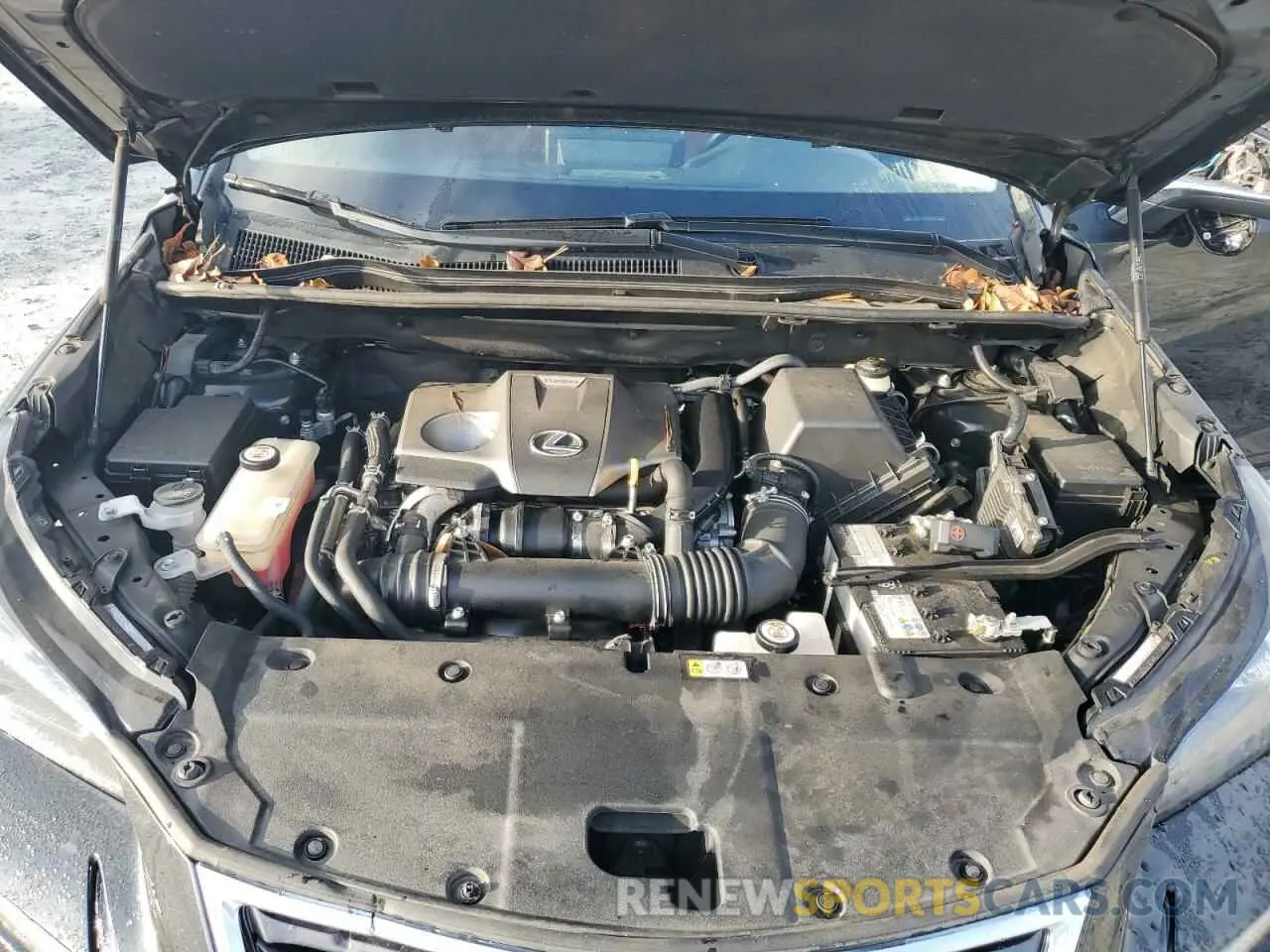 12 Фотография поврежденного автомобиля JTJGARBZ2M2182769 LEXUS NX 2021