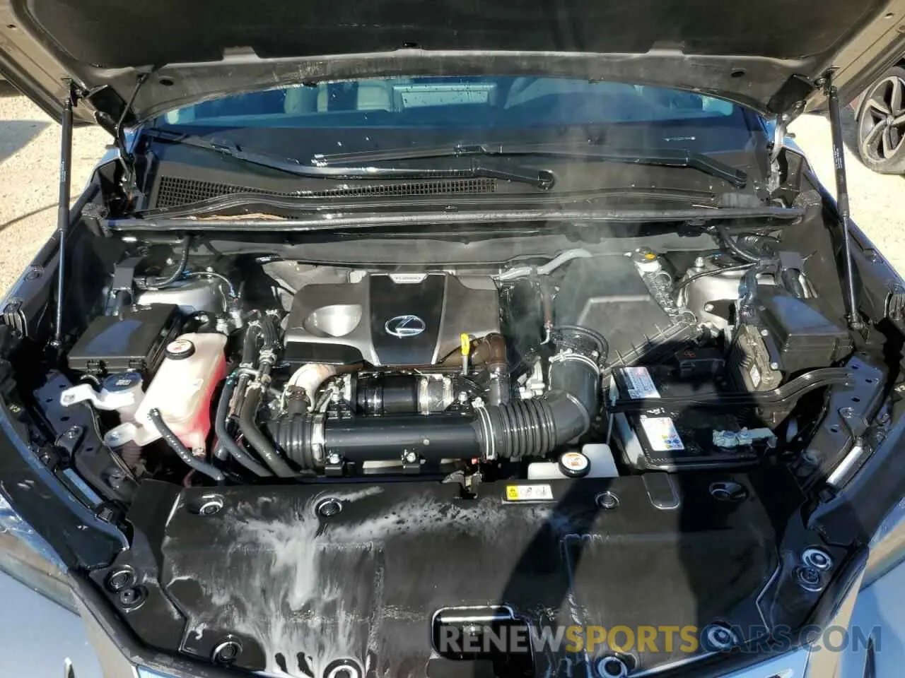 12 Photograph of a damaged car JTJGARBZ5M2190056 LEXUS NX 2021